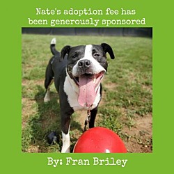Photo of Nate