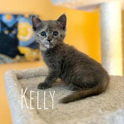 Thumbnail photo of Kelly #2