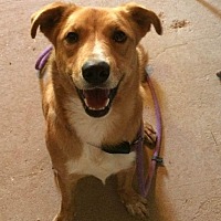 post animal refuge center