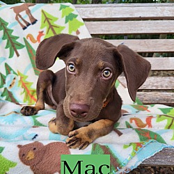 Thumbnail photo of Mac #4