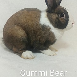 Thumbnail photo of Gummi Bear #2