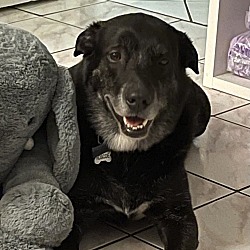Photo of Roscoe