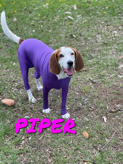 Photo of PIPER