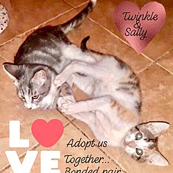 Thumbnail photo of Twinkle and Sally #4