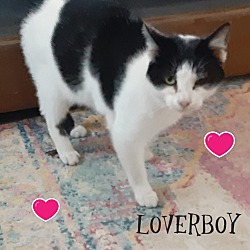 Photo of Loverboy
