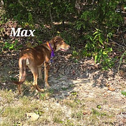 Thumbnail photo of Max #2