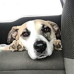 Photo of Bobby-Ray