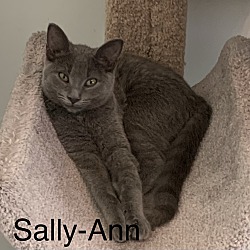 Photo of Sally Ann
