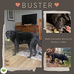 Thumbnail photo of Buster 3 #1