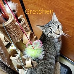 Thumbnail photo of GRETCHEN #1