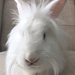 Photo of Prudence