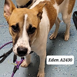 Photo of Eden A2430