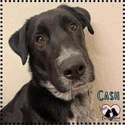 Photo of Cash