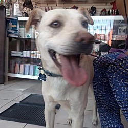 Photo of Huero