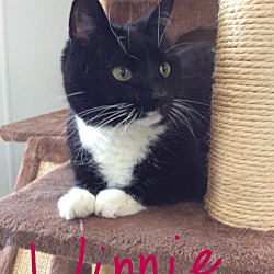 Photo of Winnie