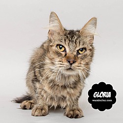 Thumbnail photo of Gloria #1