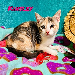 Thumbnail photo of Kinsley #1