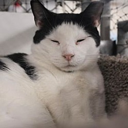 Thumbnail photo of Ferdinand #2