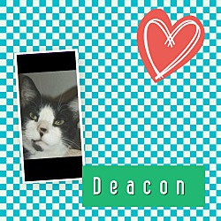 Photo of Deacon