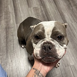 Photo of CoCo