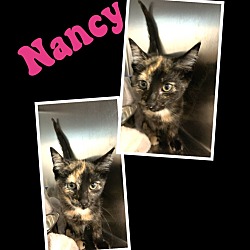 Photo of Nancy