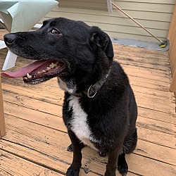 Photo of Peanut