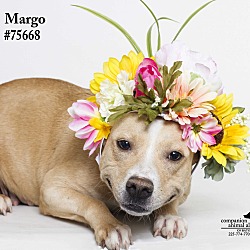 Thumbnail photo of Margo #1