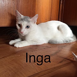 Thumbnail photo of Inga #2