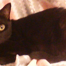 Photo of Elvira  (Ella)