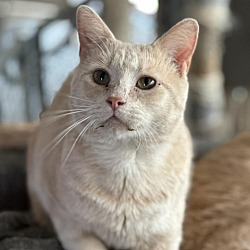 Photo of Andy