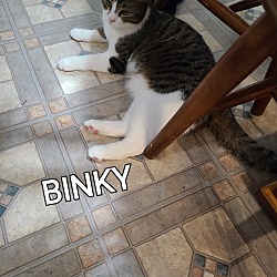 Thumbnail photo of BINKY #2