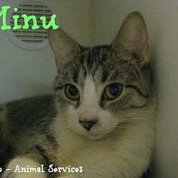 Thumbnail photo of Minu #2
