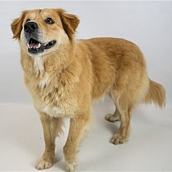 Photo of Morgan