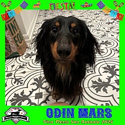 Photo of Odin Mars