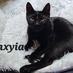 Photo of Onyxia