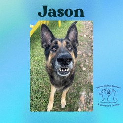 Thumbnail photo of Jason #2