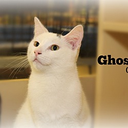 Thumbnail photo of Ghost #3