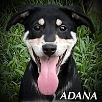 Photo of ADANA