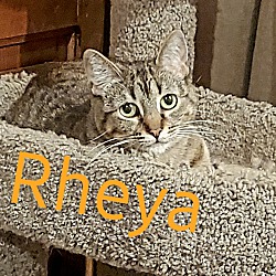 Photo of Rheya
