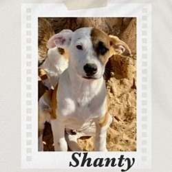 Thumbnail photo of Shanty #1