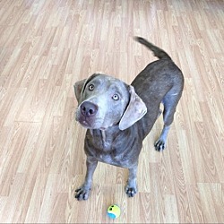 Photo of Lola