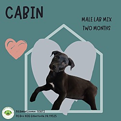 Thumbnail photo of Cabin #2