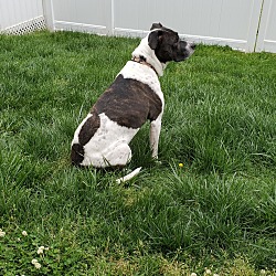 Photo of Lola