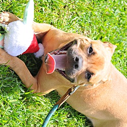 Photo of Duke