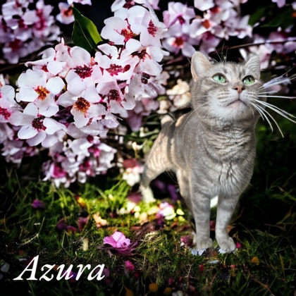 Photo of Azura
