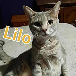 Photo of Lilo