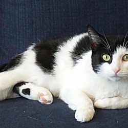 Photo of Tesla