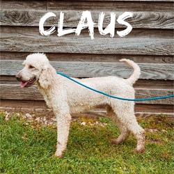 Thumbnail photo of Claus #4
