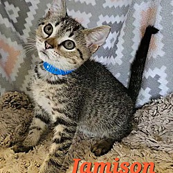 Thumbnail photo of Jamison #3