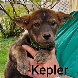 Photo of Kepler